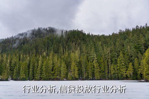 信贷行业分析,信贷投放行业分析