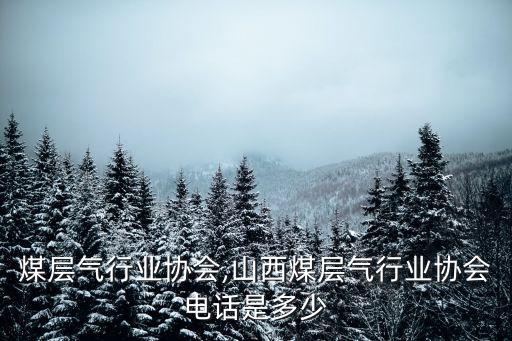 东北煤层气行业协会,山西煤层气行业协会电话是多少