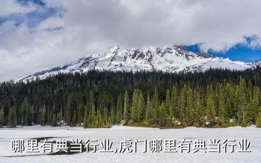 太原哪里有典当行业,虎门哪里有典当行业