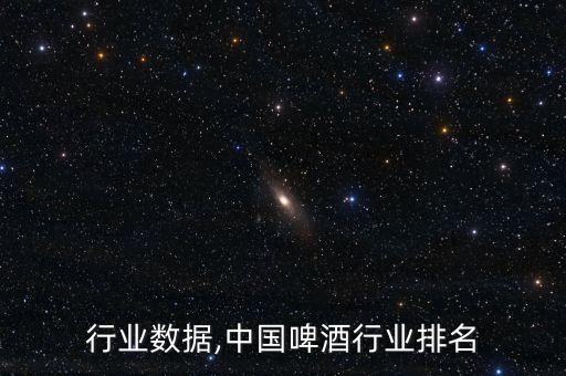 啤酒行业数据,中国啤酒行业排名