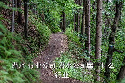 北京 潜水 行业公司,潜水公司属于什么行业