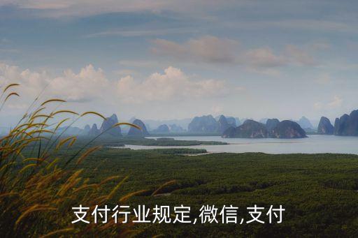 微信支付行业规定,微信,支付
