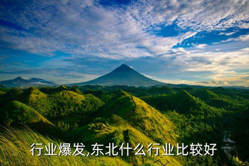 东北行业爆发,东北什么行业比较好