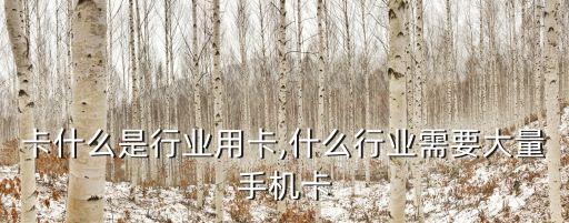 手机卡什么是行业用卡,什么行业需要大量手机卡