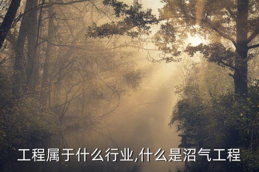 沼气工程属于什么行业,什么是沼气工程