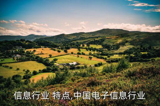 电子信息行业 特点,中国电子信息行业