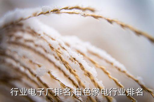 家电行业电子厂排名,白色家电行业排名