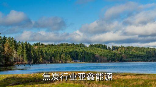山西焦炭行业亚鑫能源