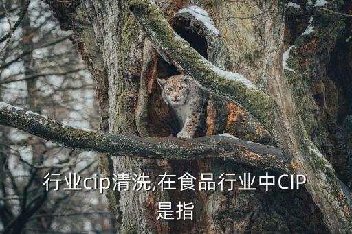 食品行业cip清洗,在食品行业中CIP是指