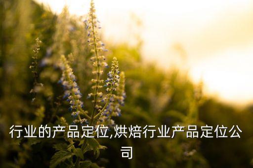 拖把行业的产品定位,烘焙行业产品定位公司