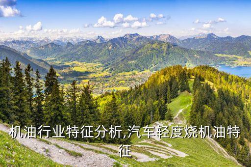 汽车机油行业特征分析,汽车轻度烧机油特征