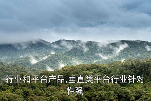 垂直行业和平台产品,垂直类平台行业针对性强