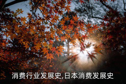 美国消费行业发展史,日本消费发展史
