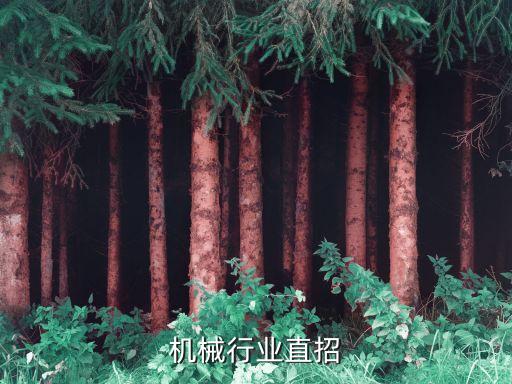 徐州机械行业直招