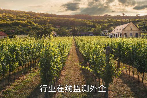 电力行业在线监测外企