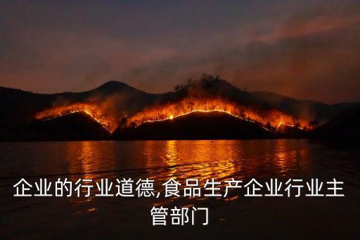 食品企业的行业道德,食品生产企业行业主管部门