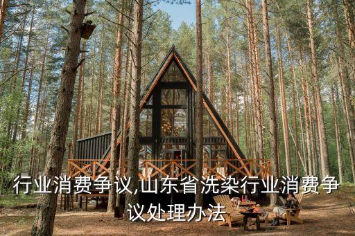 洗染行业消费争议,山东省洗染行业消费争议处理办法