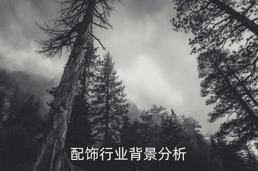 鞋包配饰行业背景分析