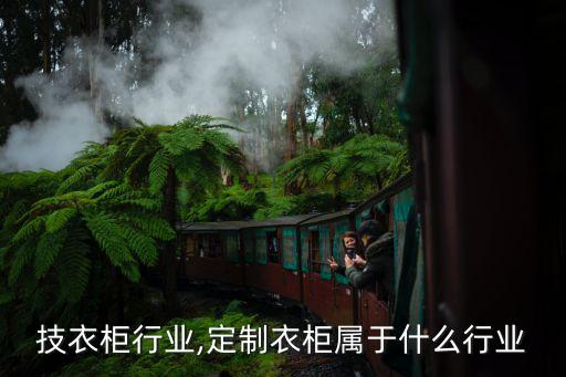 高科技衣柜行业,定制衣柜属于什么行业