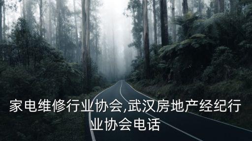 武汉家电维修行业协会,武汉房地产经纪行业协会电话