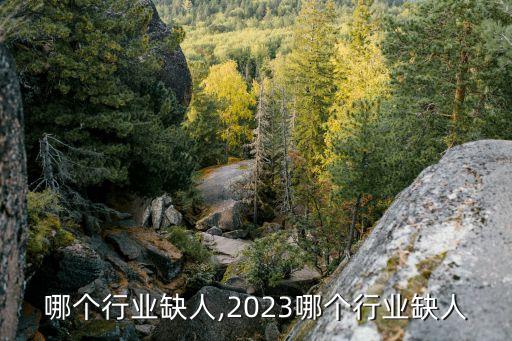 中国哪个行业缺人,2023哪个行业缺人