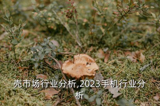 手机壳市场行业分析,2023手机行业分析