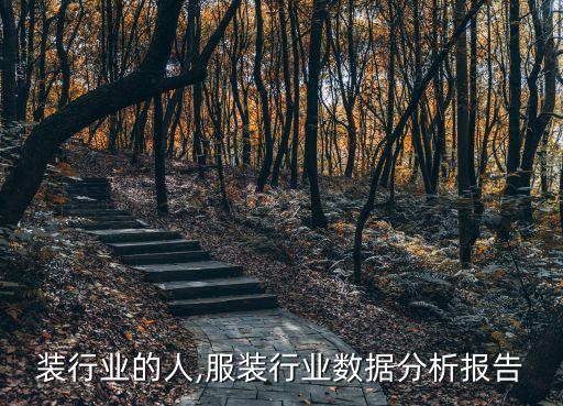 致服装行业的人,服装行业数据分析报告