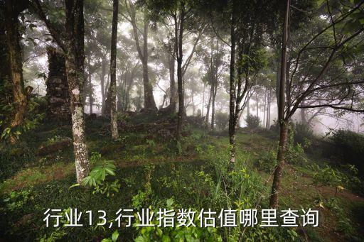 估值行业13,行业指数估值哪里查询