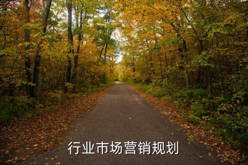 面条行业市场营销规划