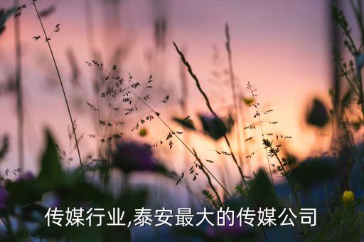 泰安传媒行业,泰安最大的传媒公司