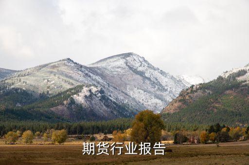 大豆期货行业报告