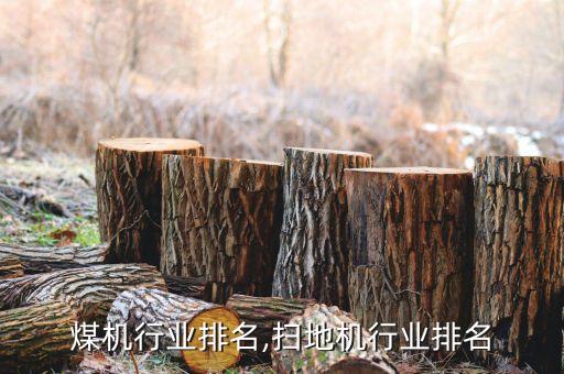 中国煤机行业排名,扫地机行业排名