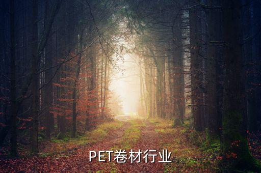 重庆PET卷材行业