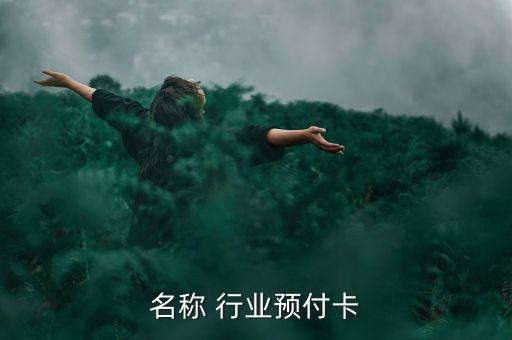 产品名称 行业预付卡