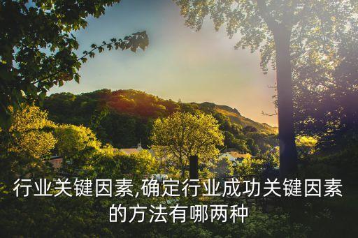打车行业关键因素,确定行业成功关键因素的方法有哪两种