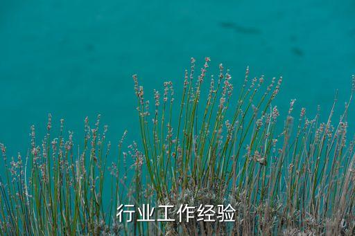 零售行业工作经验