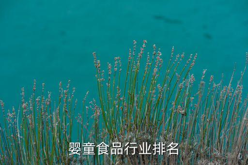 中国婴童食品行业排名