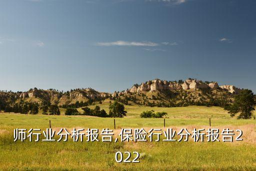 会计师行业分析报告,保险行业分析报告2022