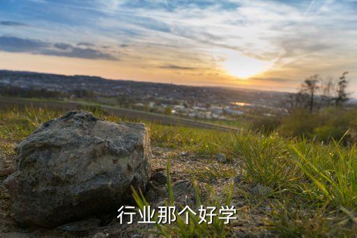 it行业那个好学
