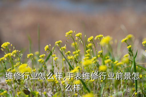 摩托维修行业怎么样,手表维修行业前景怎么样