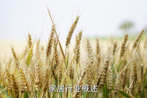 智能家居行业概述