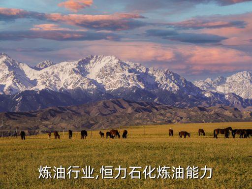 石化炼油行业,恒力石化炼油能力