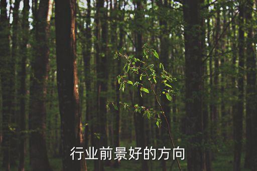 家纺行业前景好的方向