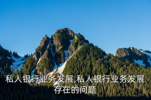 民生私人银行业务发展,私人银行业务发展存在的问题