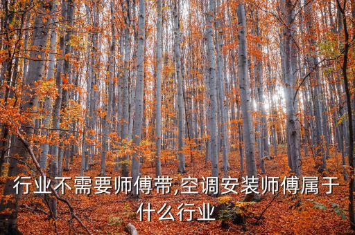 什么行业不需要师傅带,空调安装师傅属于什么行业