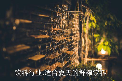 鲜榨饮料行业,适合夏天的鲜榨饮料