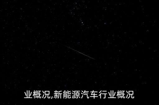 酒行业概况,新能源汽车行业概况