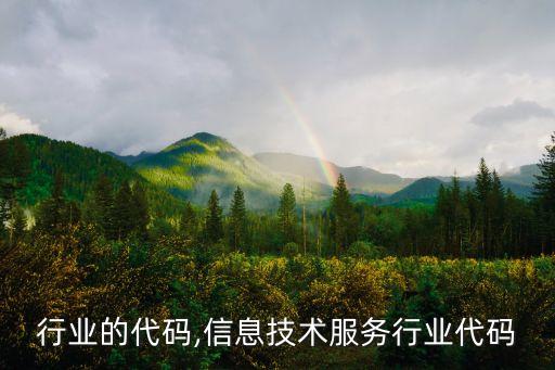 服务行业的代码,信息技术服务行业代码