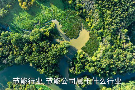 电子节能行业,节能公司属于什么行业