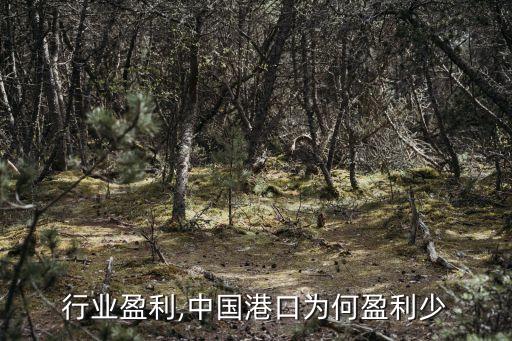 港口行业盈利,中国港口为何盈利少